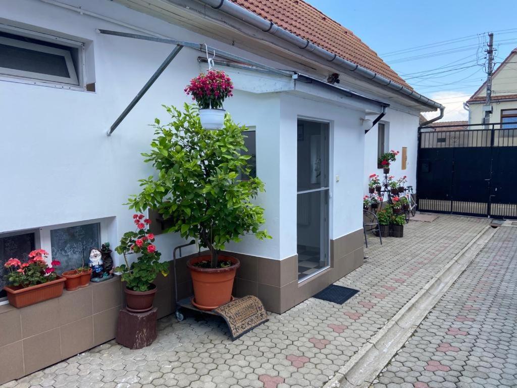 Brick Airport Cristian (Sibiu) Exterior photo