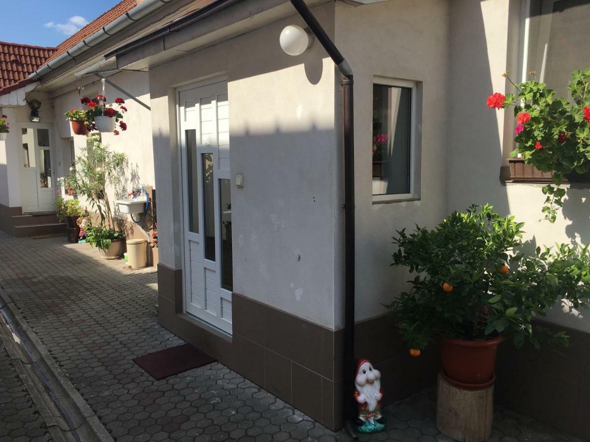 Brick Airport Cristian (Sibiu) Exterior photo